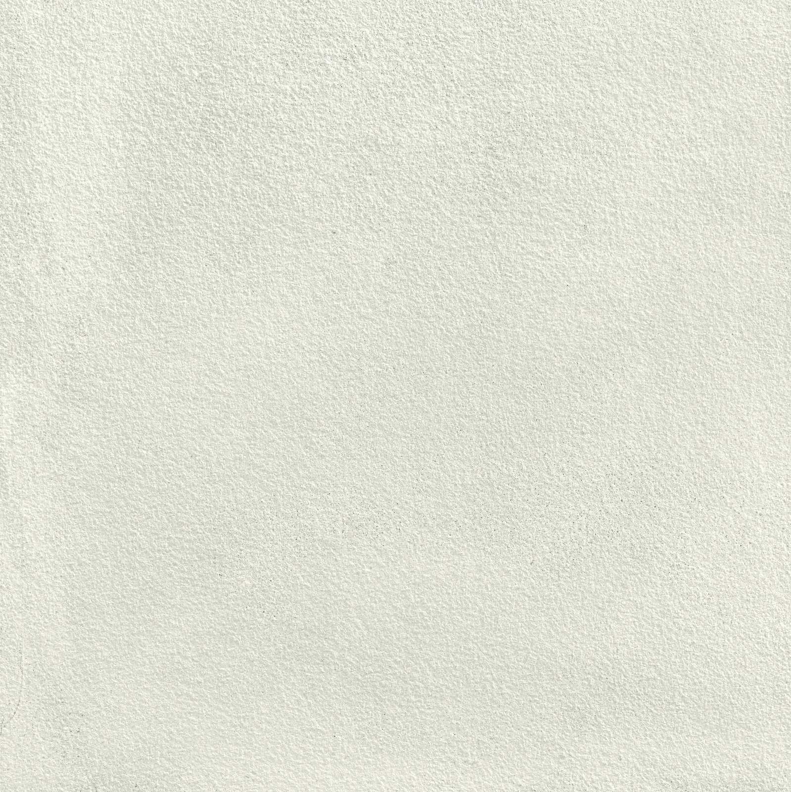 Ragno Boom  - Boom – R00F