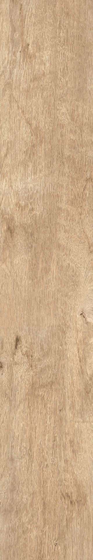 Treverkdear – MZUE