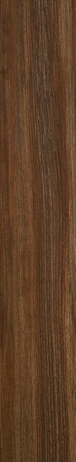 Treverkchic – MH2T