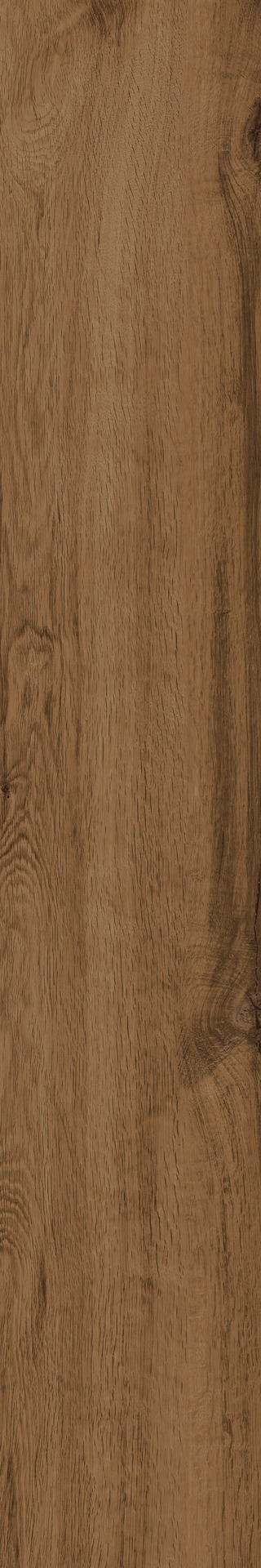 Ragno Woodtale  - Woodtale – R4TR