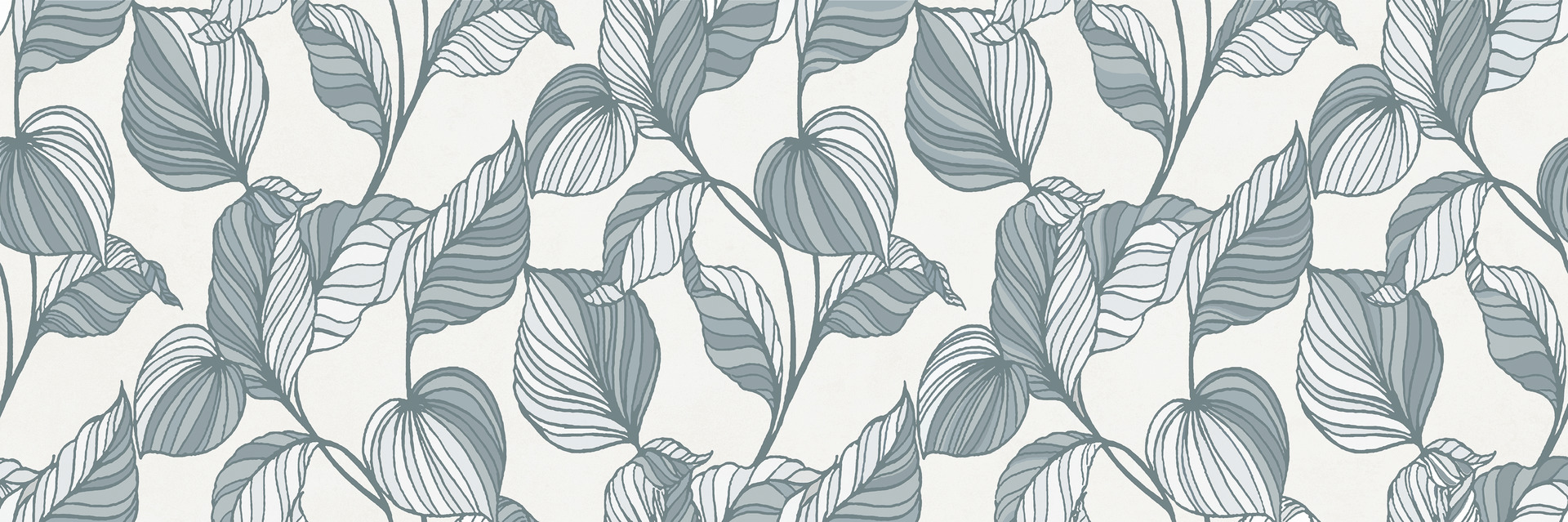 Ragno Vida  - Vida – RA6Y