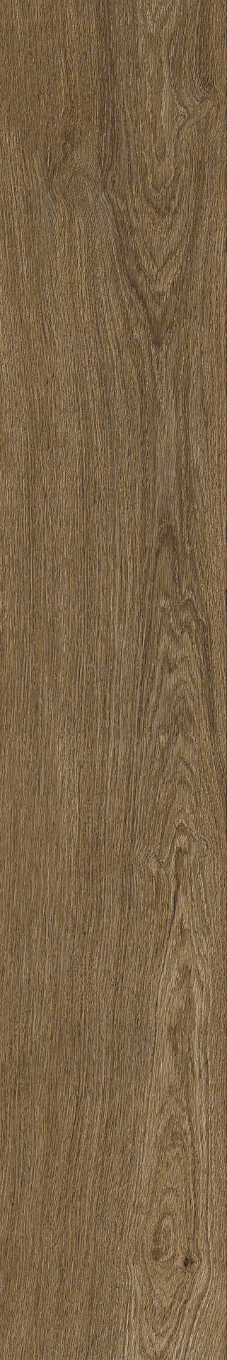 Ragno Ossimori  - Ossimori – R9RR