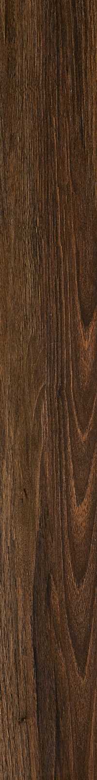 Treverkchic – MH2Z