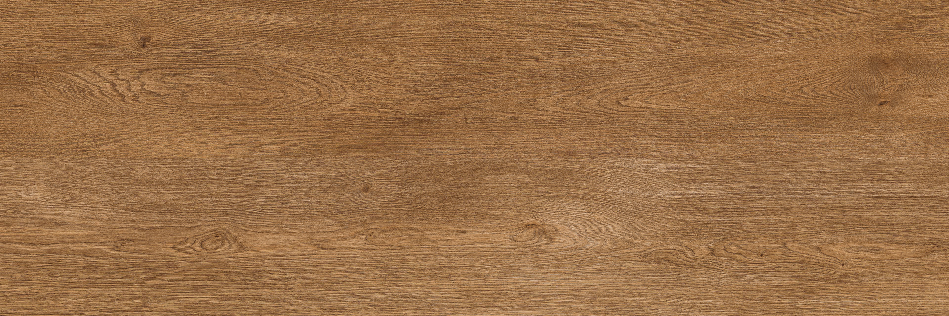 Ragno Inedito xt20  - Inedito xt20 – RARN