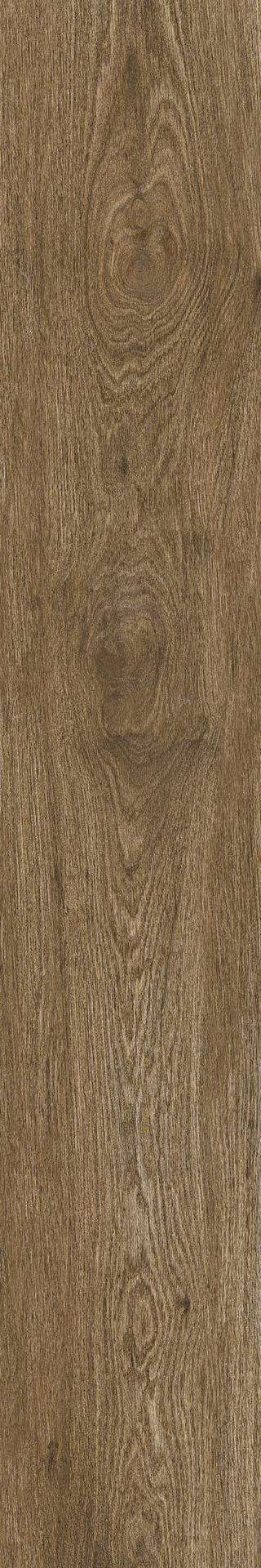 Ragno Ossimori  - Ossimori – R9RL