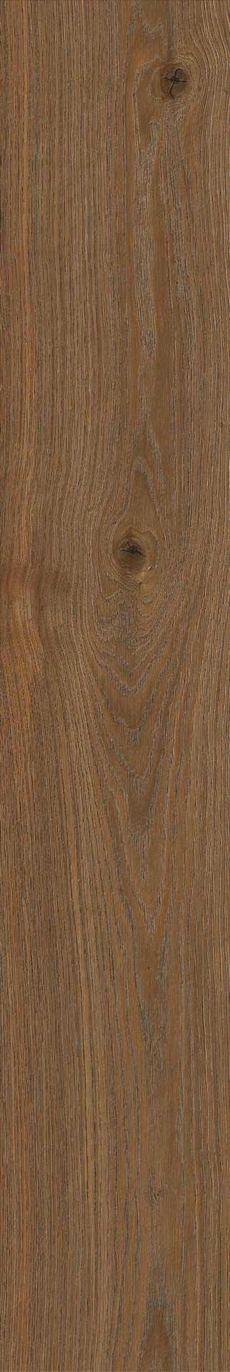 Ragno Secret  - Secret – RC6R