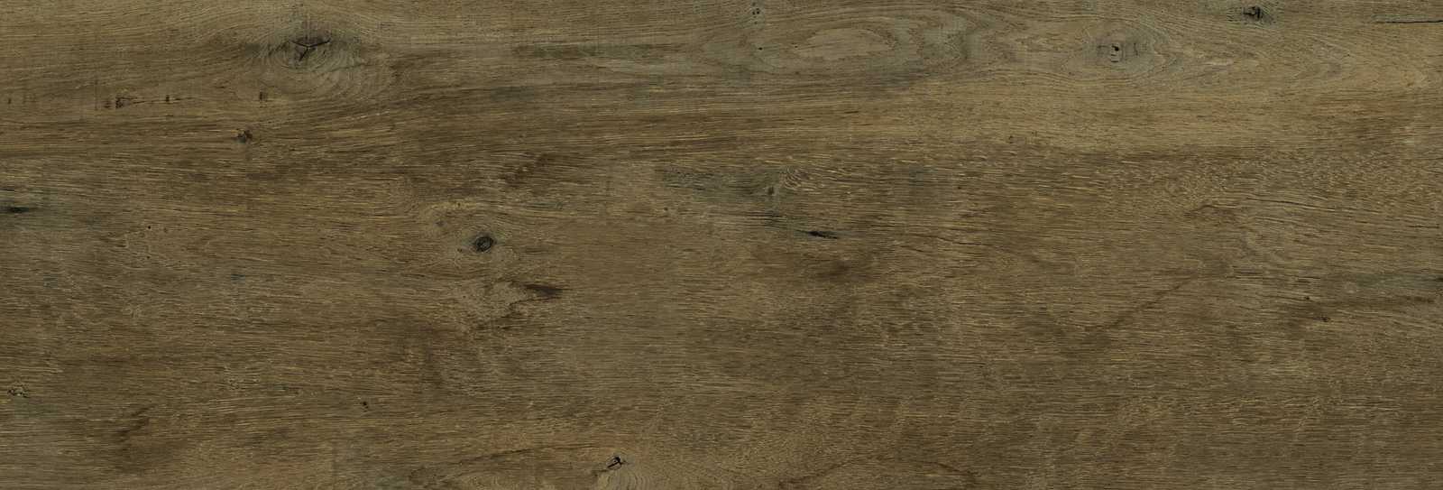 Treverkdear20 – MCNS