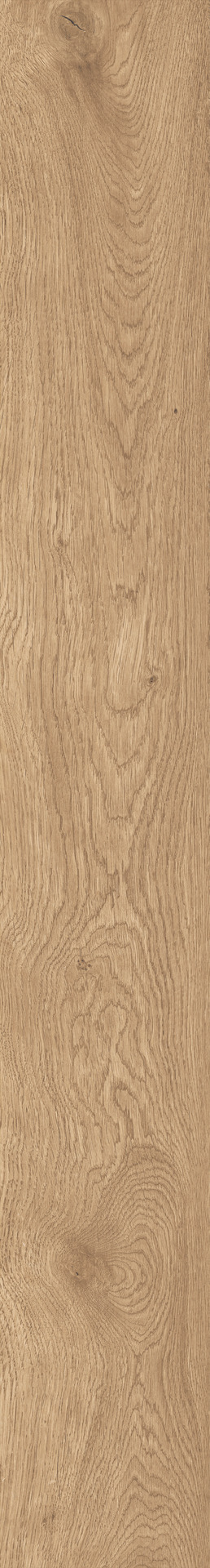 Ragno Boheme  - Boheme – RCPS