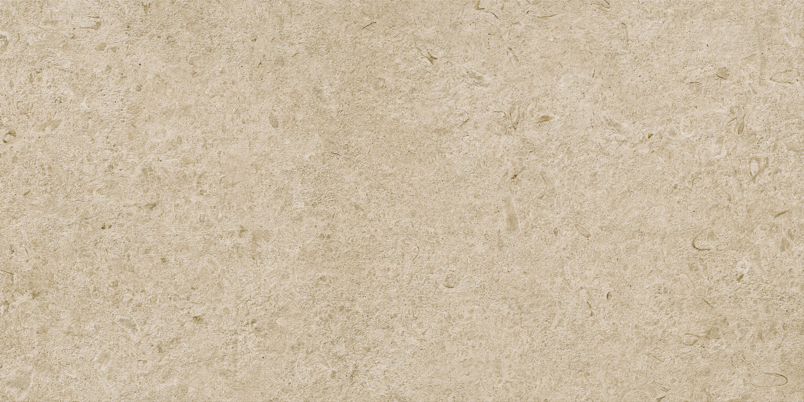 Ragno Eterna  - Eterna – R8KE