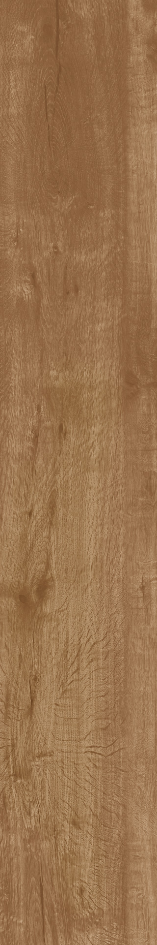 Ragno Woodtale  - Woodtale – R4TQ