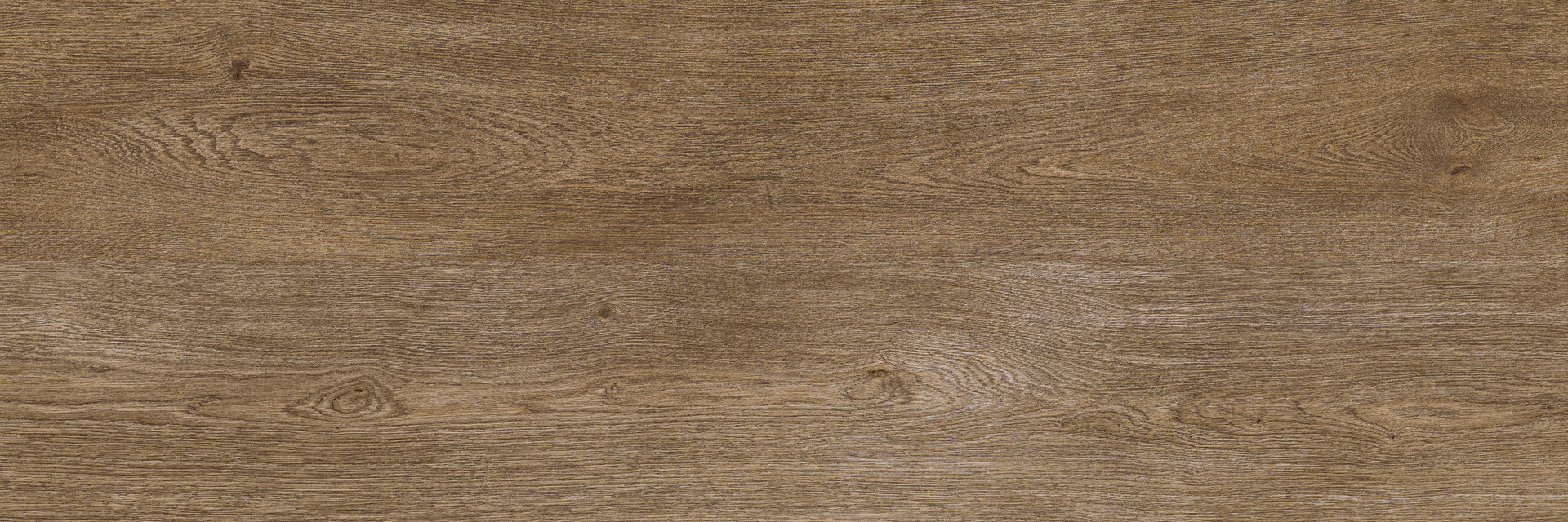 Ragno Inedito xt20  - Inedito xt20 – RARJ