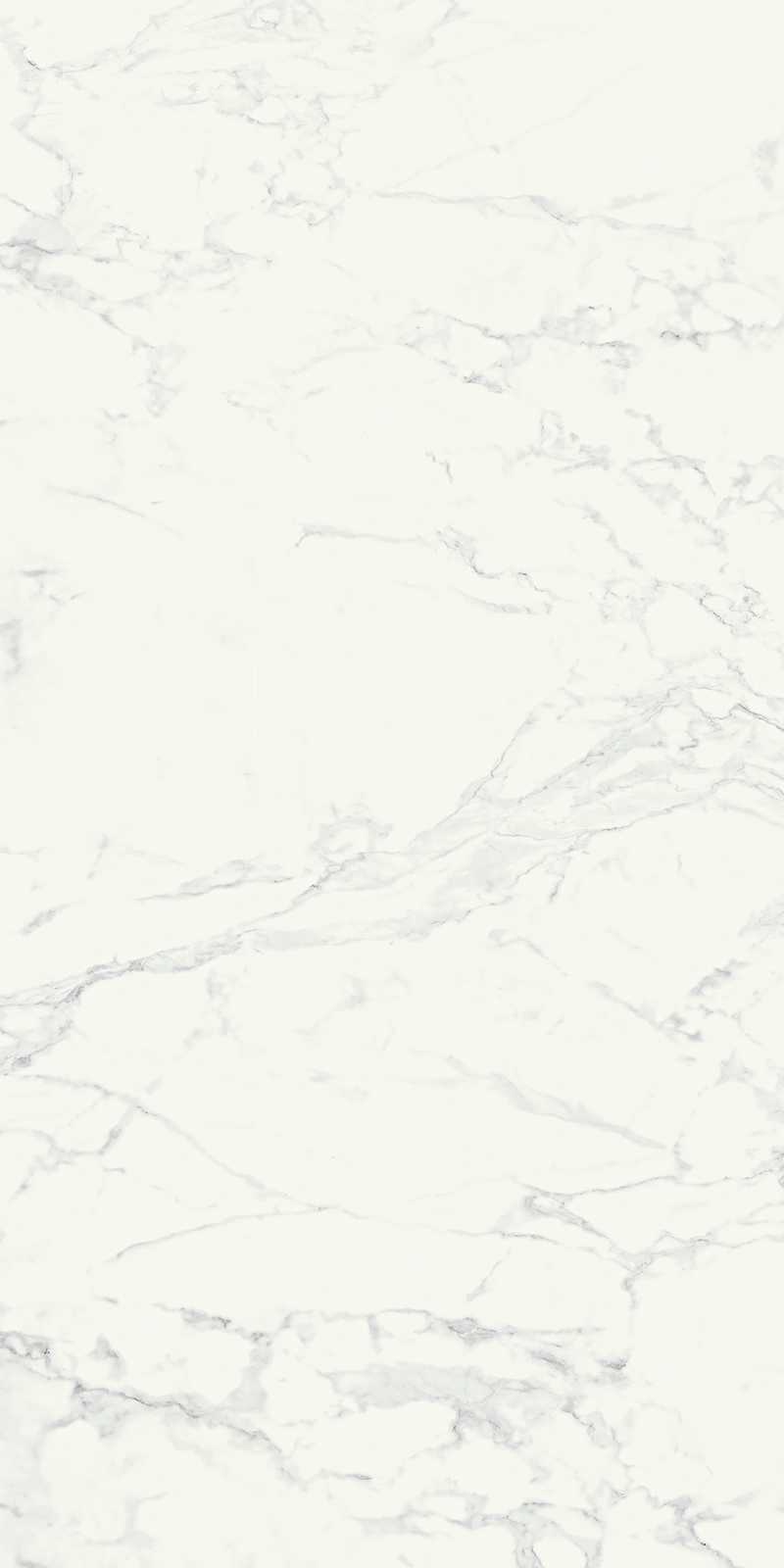 Ragno Imperiale  - Imperiale – R72P