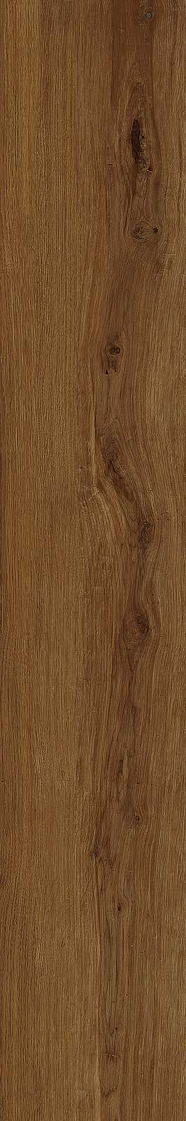 Treverklife – MQYS