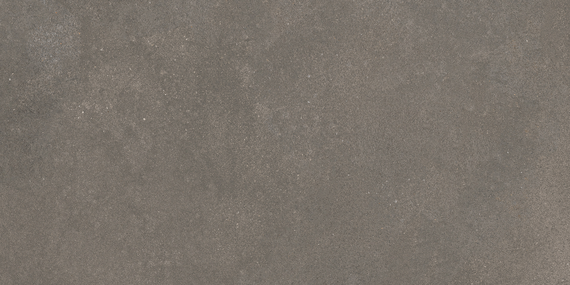 Ragno Stratford  - Stratford – R8WT