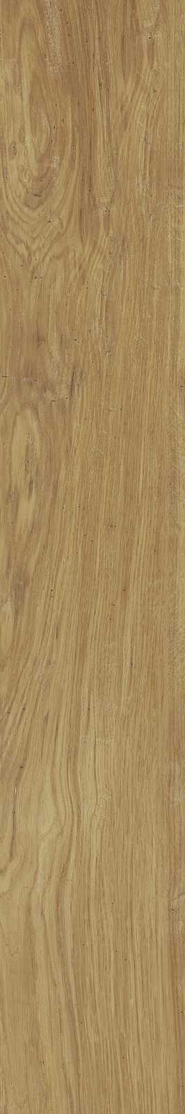 Treverklife – MQYM