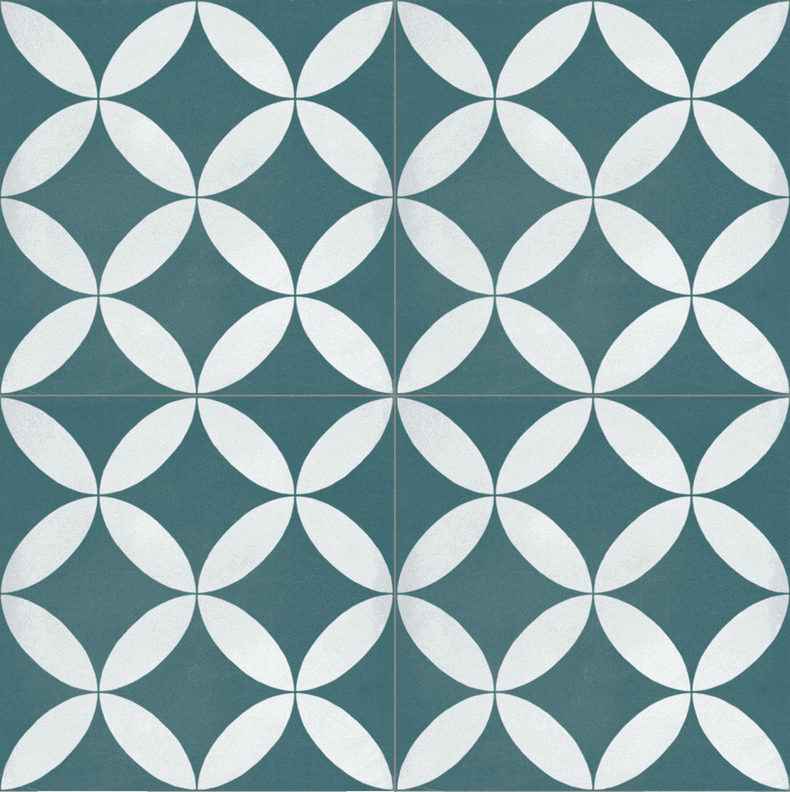 Ragno Contrasti  - Contrasti – R7HS