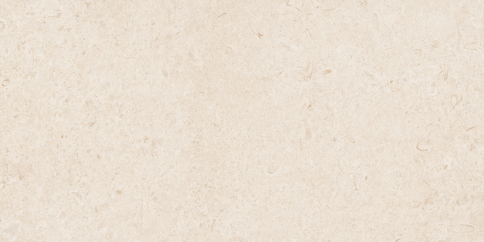 Ragno Eterna  - Eterna – R8JK