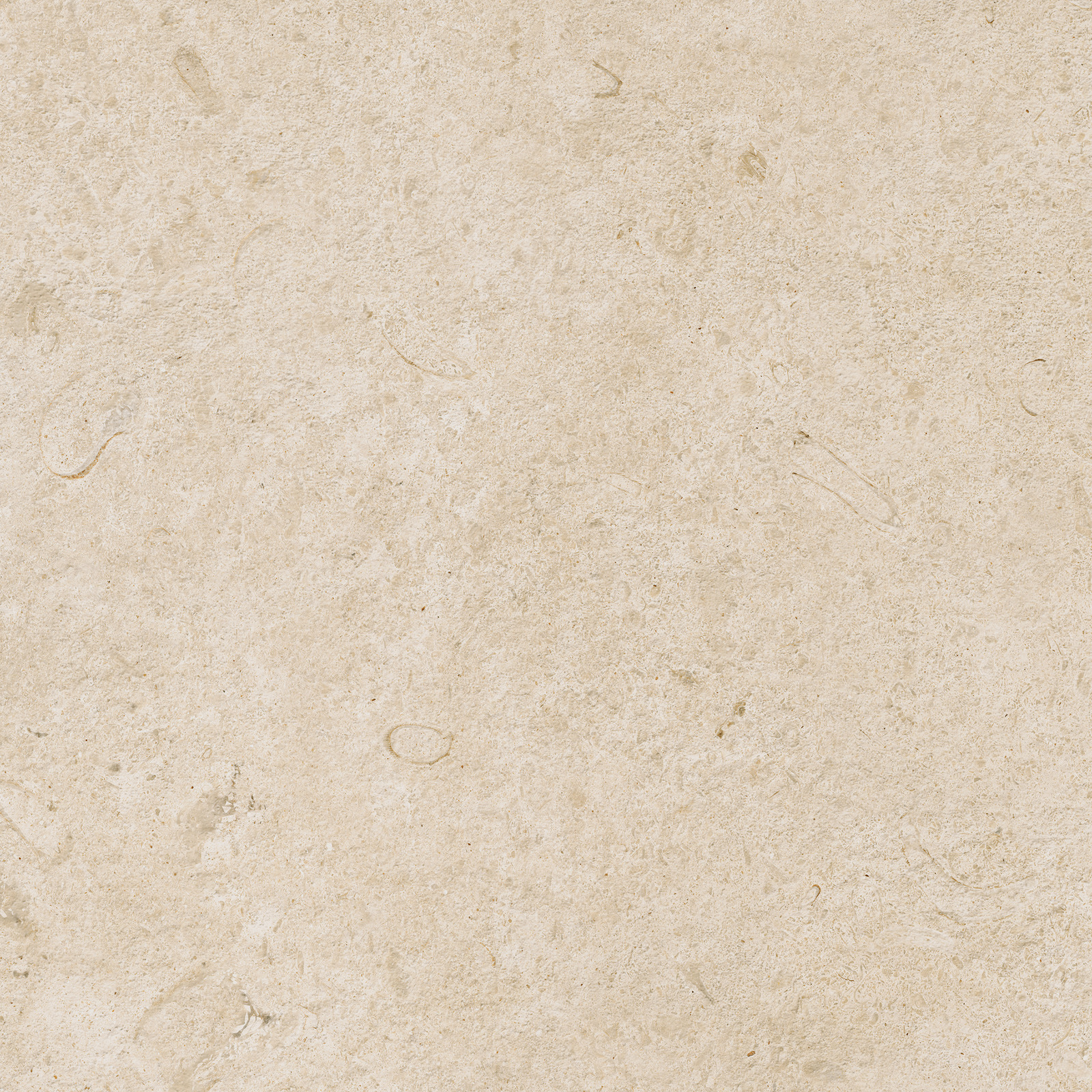 Ragno Eterna  - Eterna – R8KK