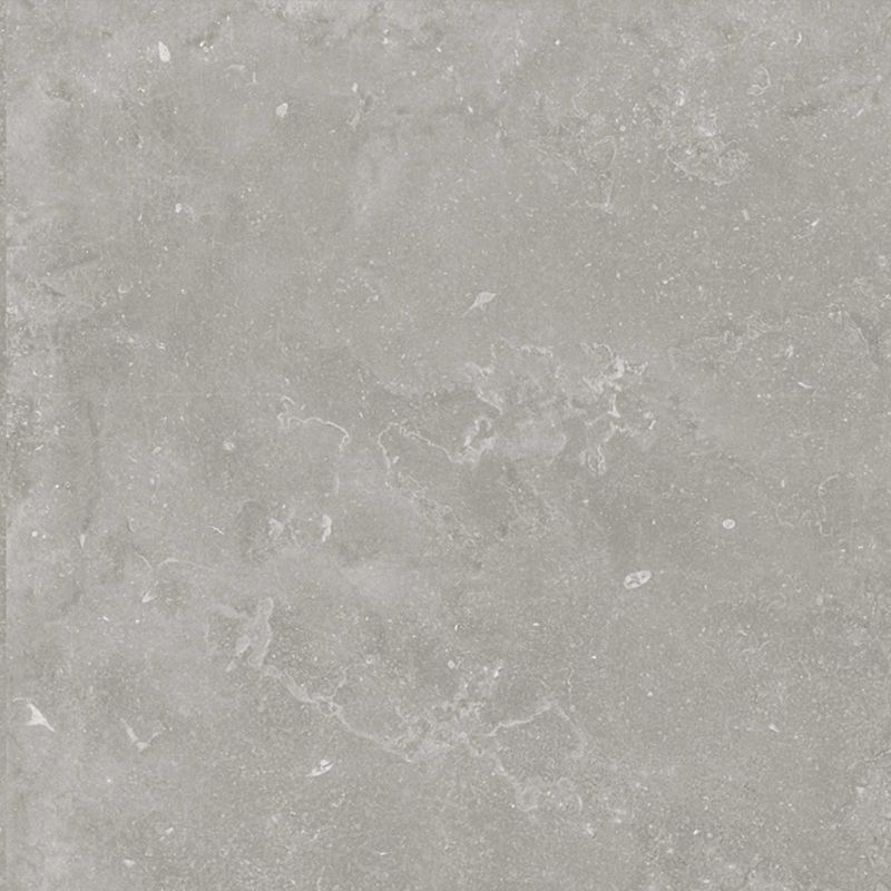 Ariana Pleinair - Memento Bruges Grey