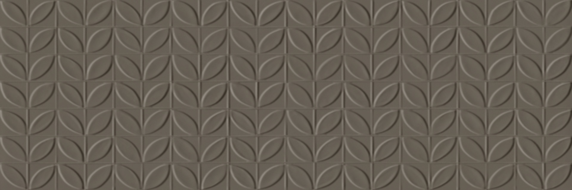 Ragno Vida  - Vida – RA6Q