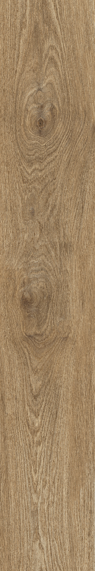 Ragno Ossimori  - Ossimori – R9TC