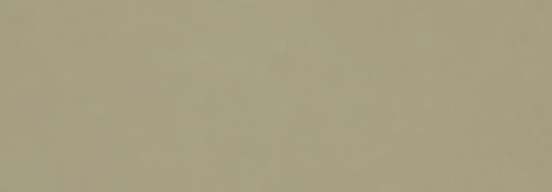 Ragno Vida  - Vida – RA6E