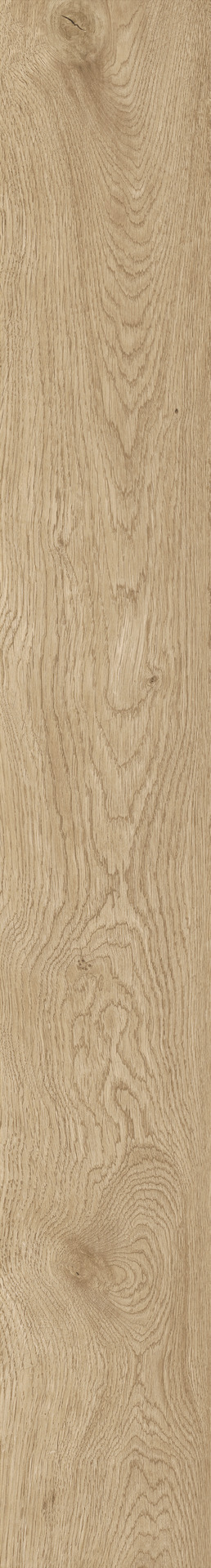 Ragno Boheme  - Boheme – RCPR