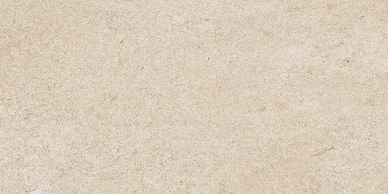 Ragno Eterna  - Eterna – R8KD