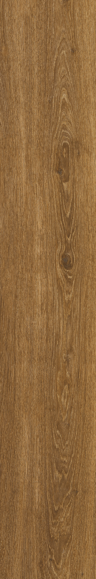 Ragno Ossimori  - Ossimori – R9RQ