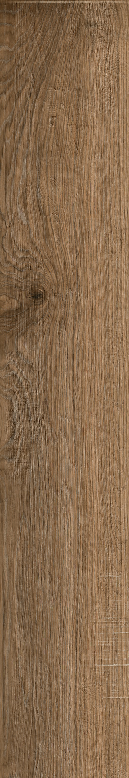 Treverkmust – M05G