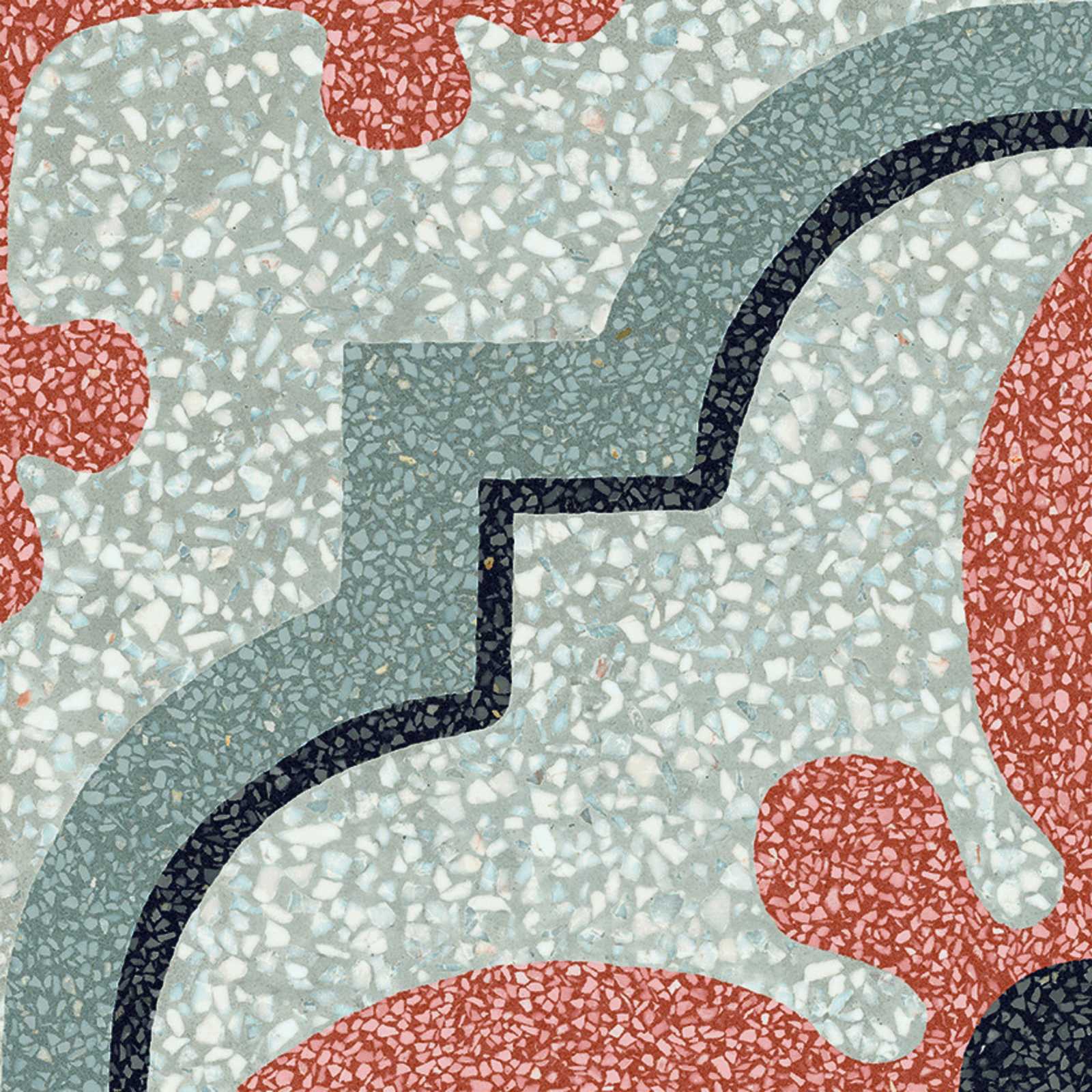 D Segni Scaglie – M1LP