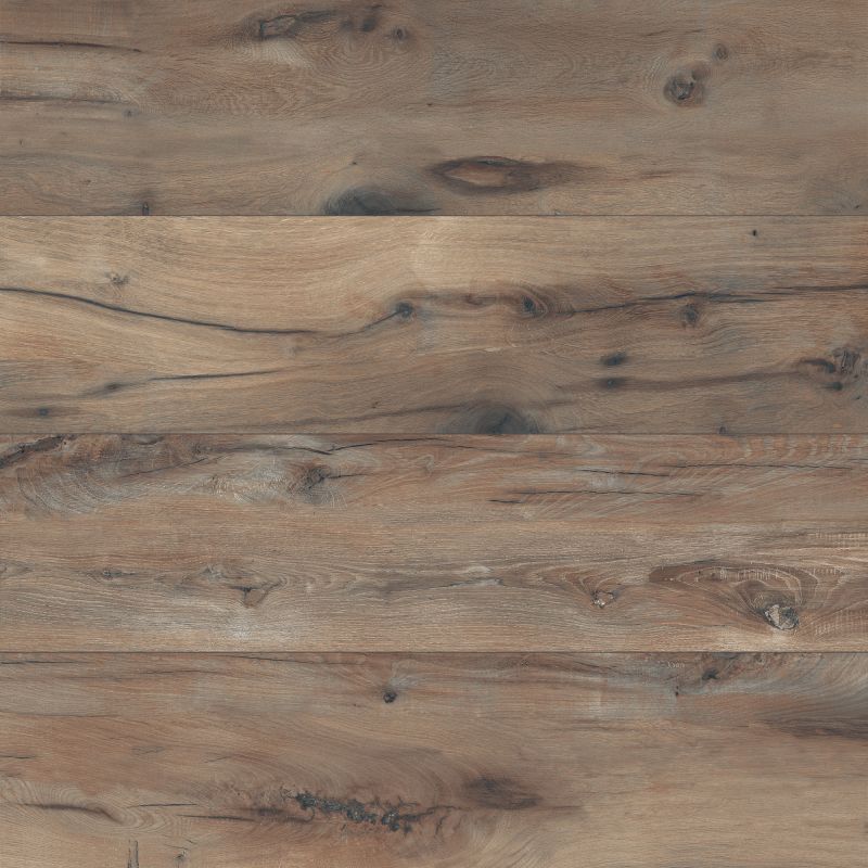 Ariana Pleinair - Legend Havana