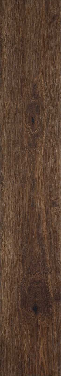 Treverkever – MH8D