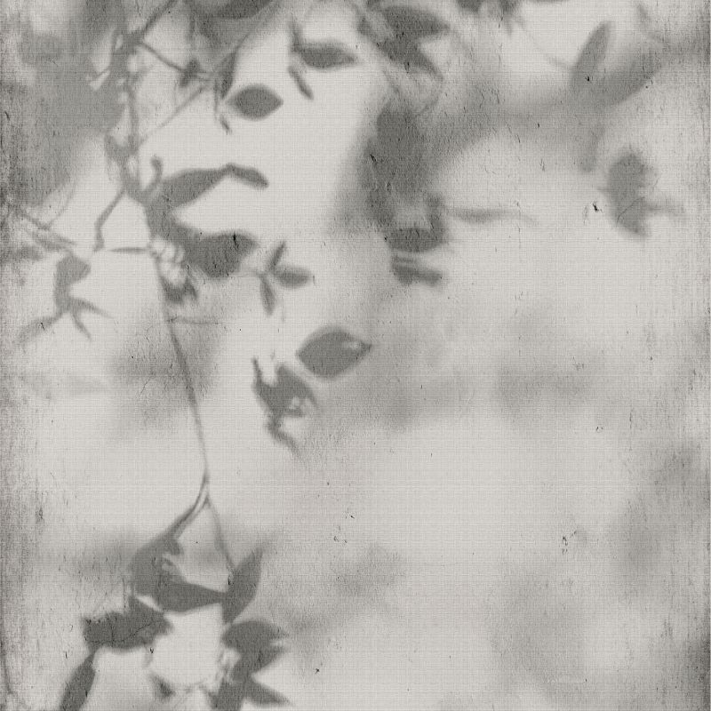 Flaviker Pisa Art walls - Shadow