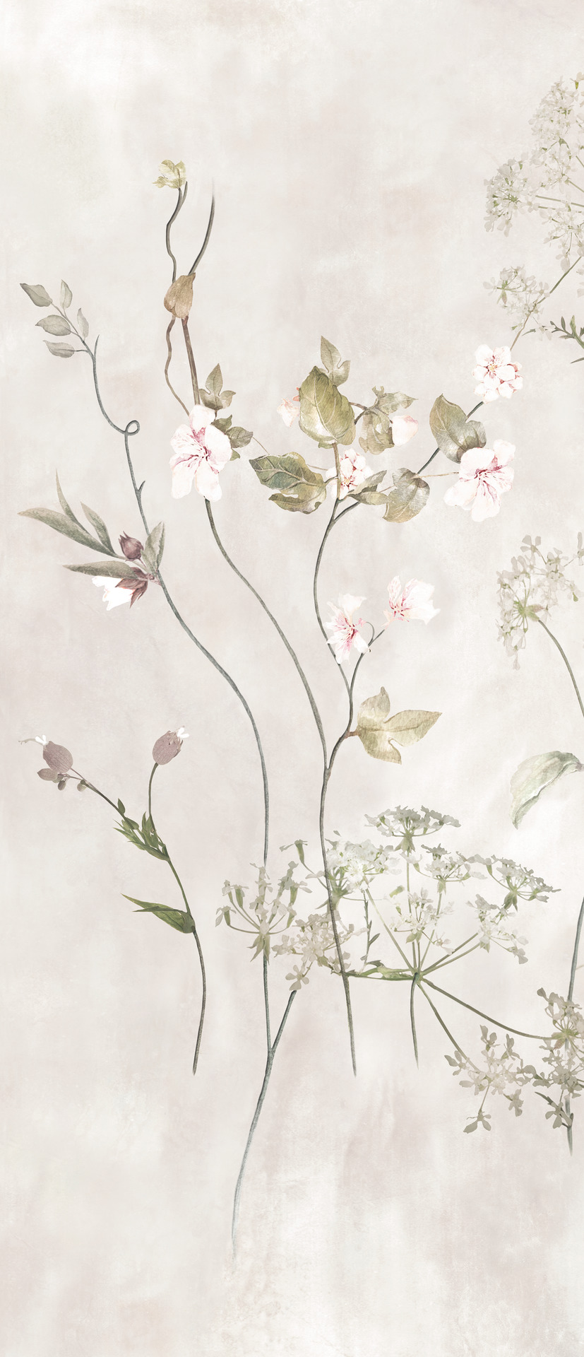 Ragno Maiora_Concrete Effect  - Maiora_Concrete Effect – R9JV