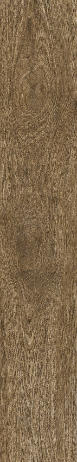 Ragno Ossimori  - Ossimori – R9VV