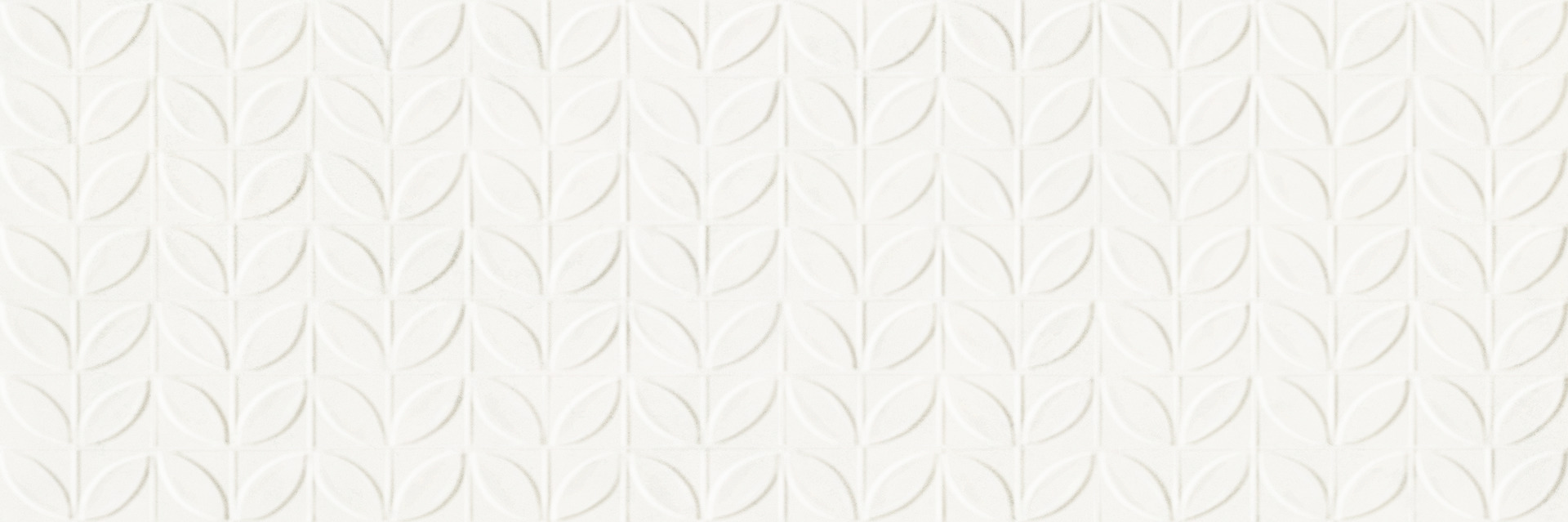 Ragno Vida  - Vida – RA6J