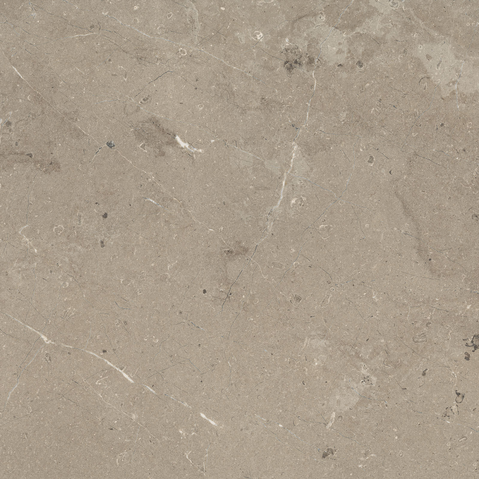 Mystone Limestone – M7E5