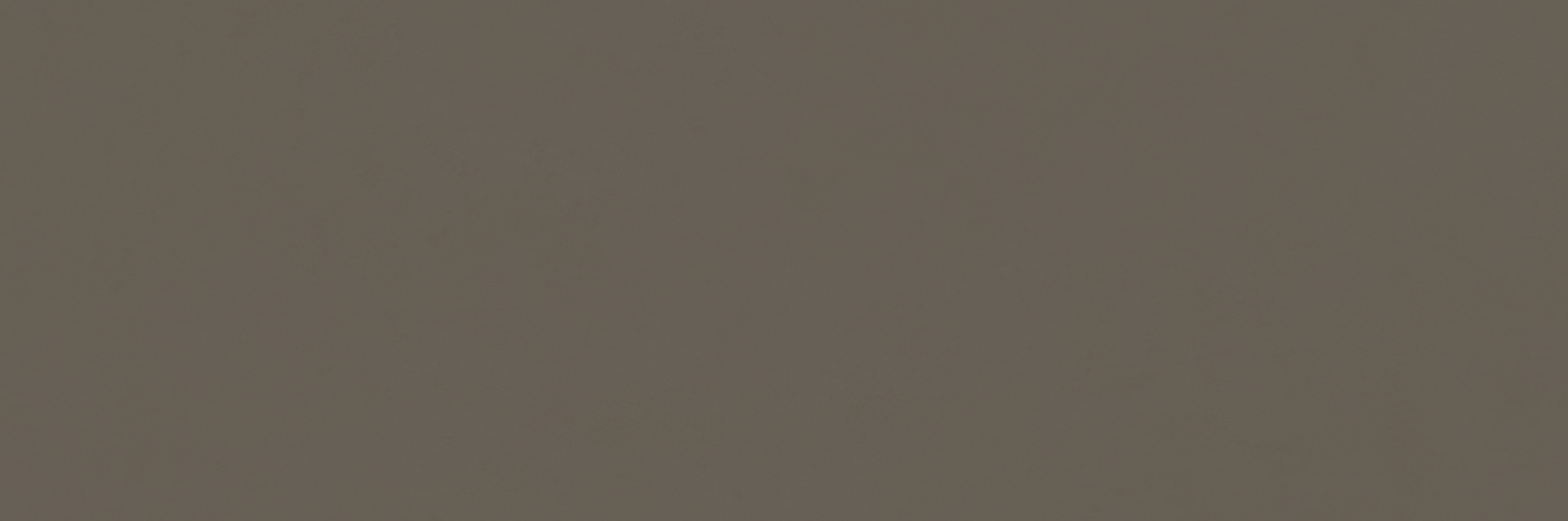 Ragno Vida  - Vida – RA6F