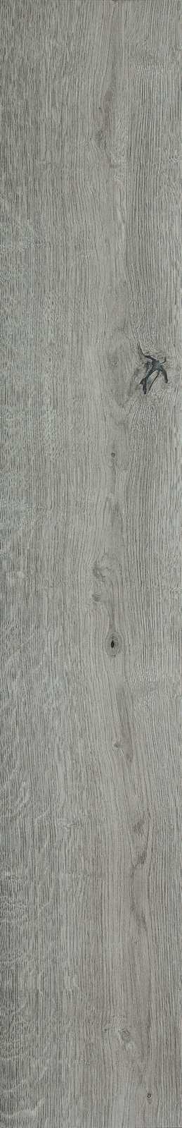 Treverkever – MH8C