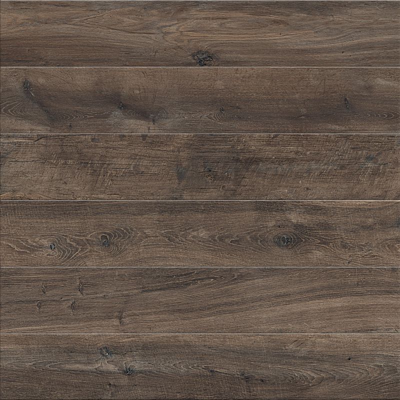 Ariana Legend - Brown