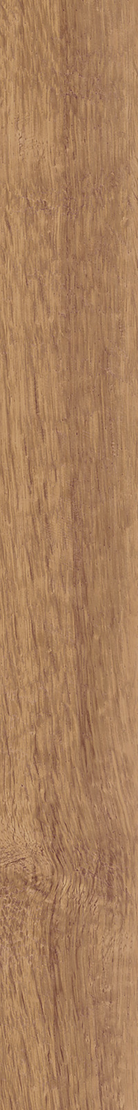 Treverkhome – MKLJ