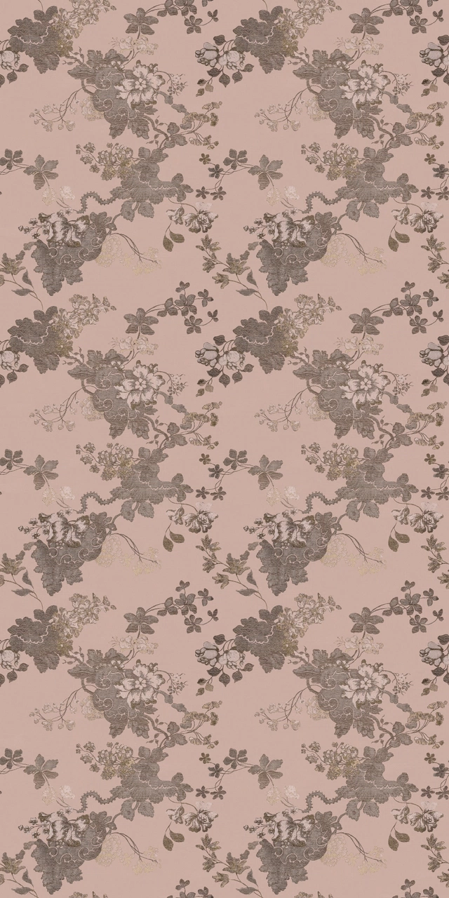 Lady Hamilton Cipria