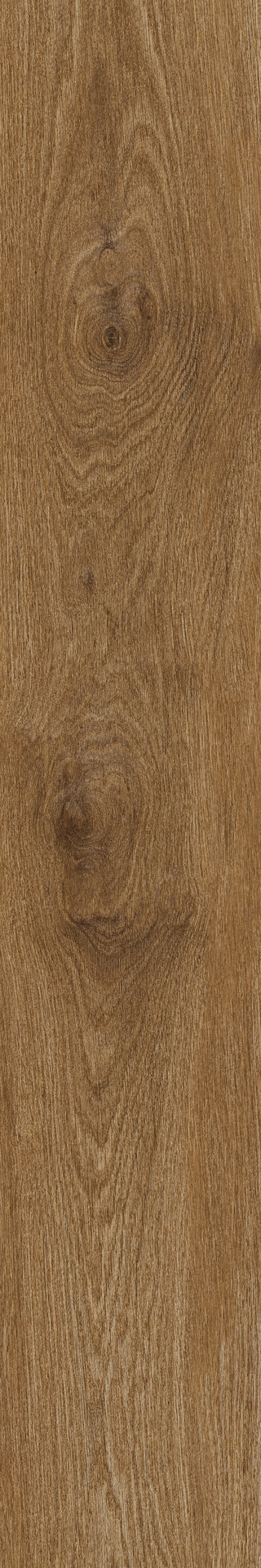 Ragno Ossimori  - Ossimori – R9VU