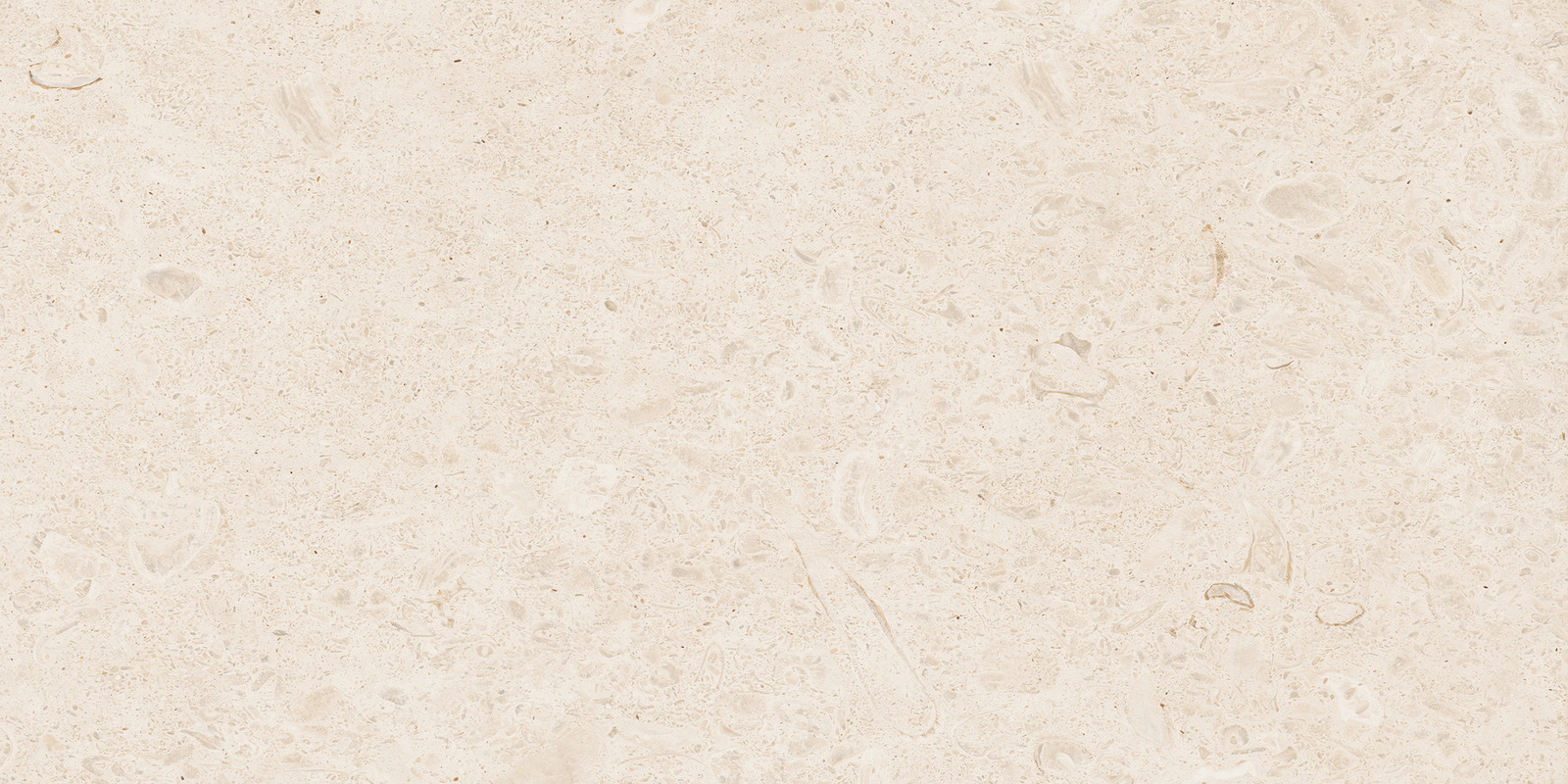 Ragno Eterna  - Eterna – R8JZ