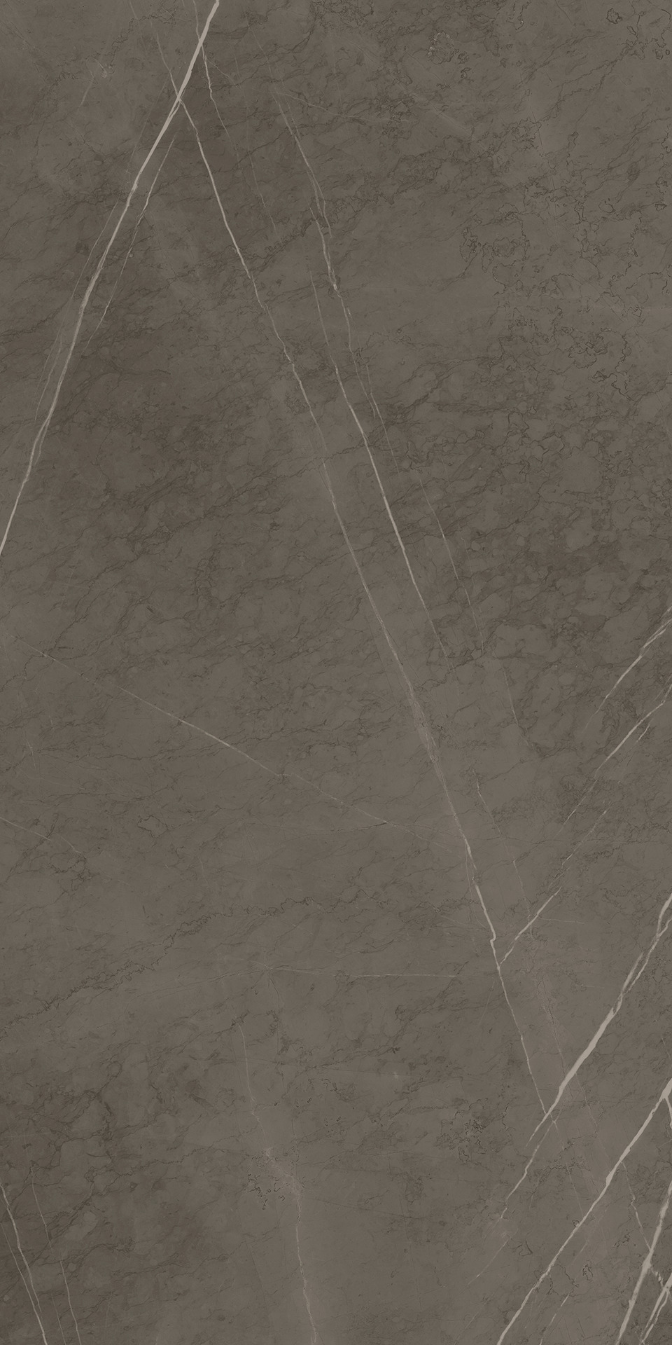 Ragno Incanto  - Incanto – R8ZA