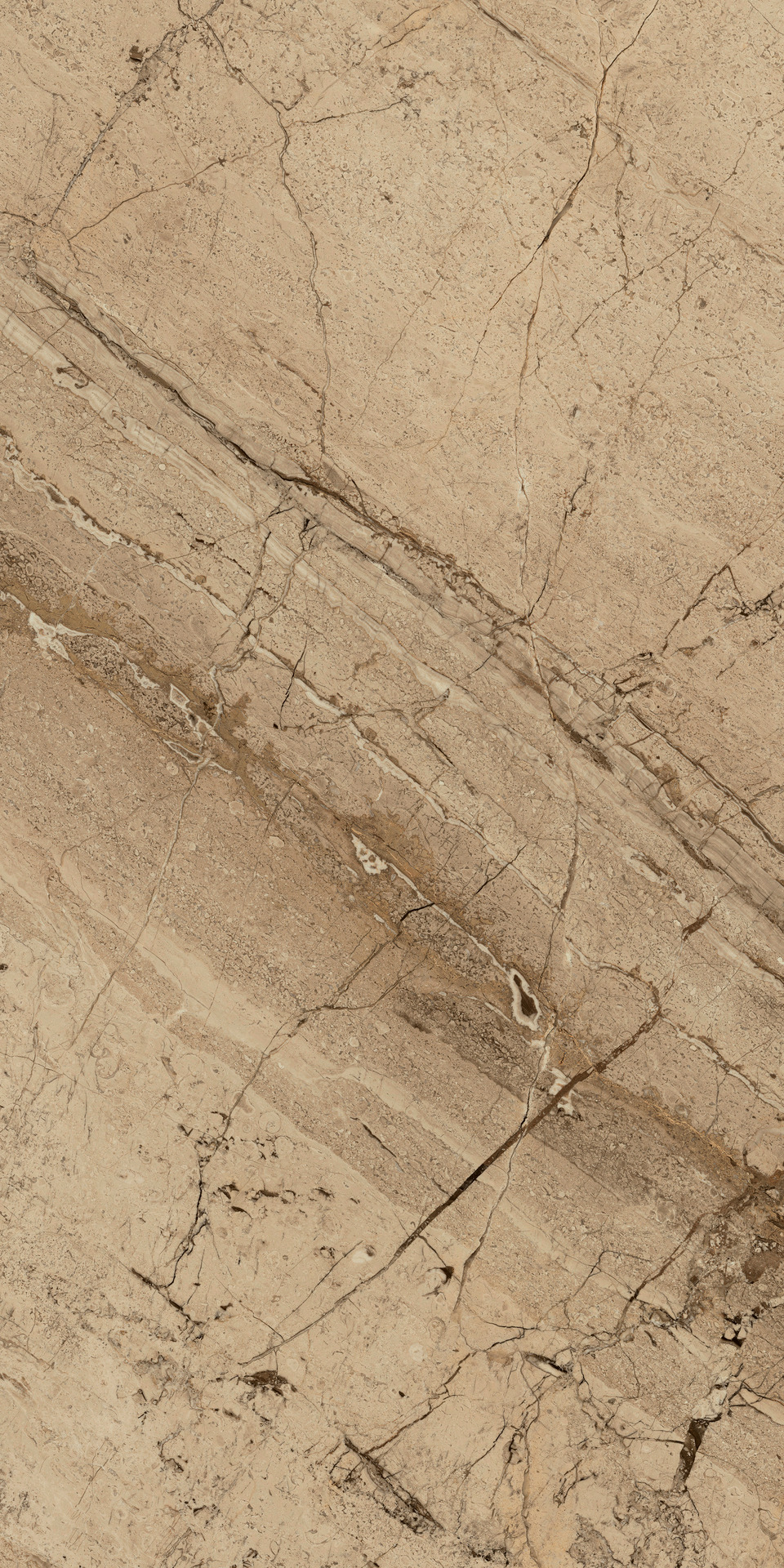 Ragno Incanto  - Incanto – R8SJ