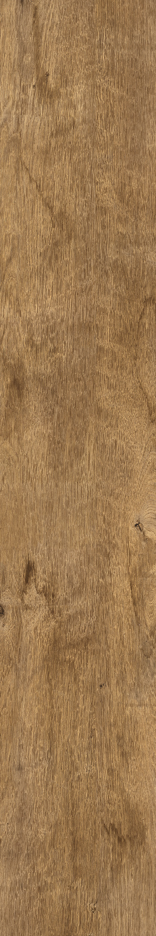 Treverkdear – MZUF