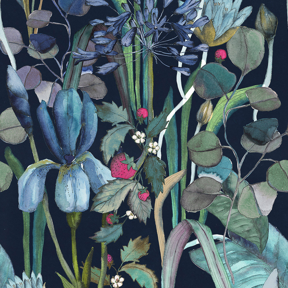 Scenari 7.0 Wonder Place