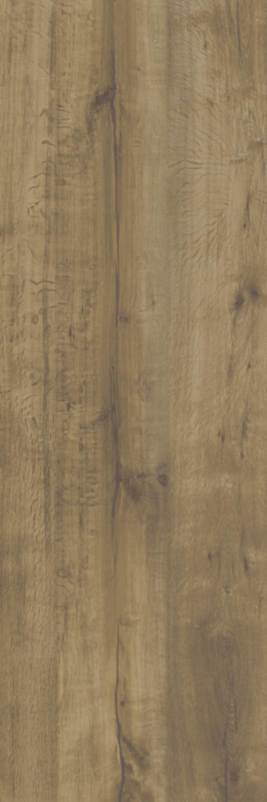 Ragno Woodtale XT20  - Woodtale XT20 – R51Y